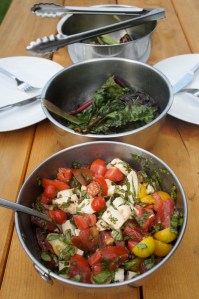 tomato salad, grilled chard, eggplant and zucchini