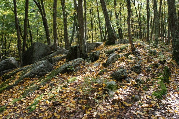 approaching castle rock
