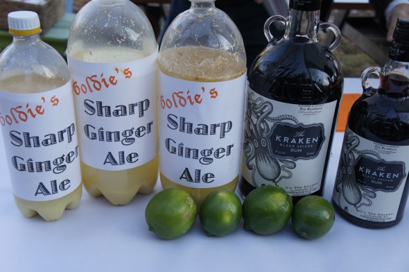 dark and stormy fixins