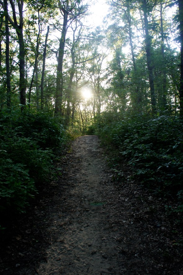 Trails around the ponds across the street