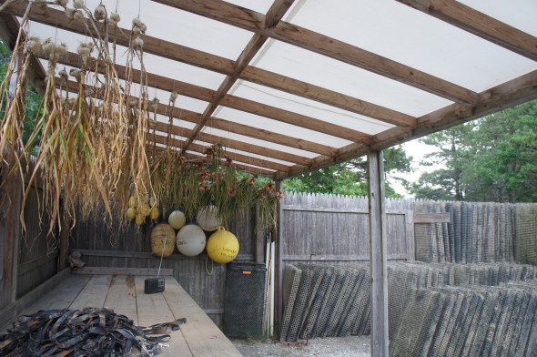 Oyster racks and curing garlic