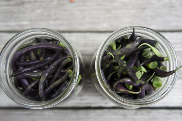 Refrigerator Dilly Beans