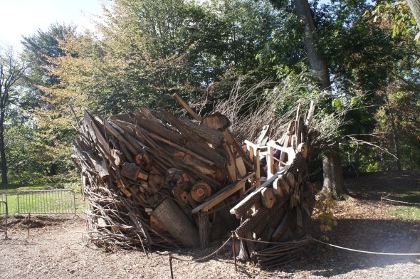 Hurricane Sandy fallen tree fort