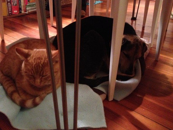 fuku and scabby keeping warm